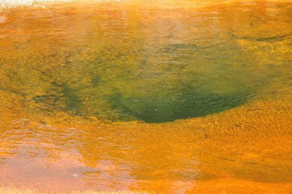 Lindas piscinas coloridas, de águas transparentes e ferventes, na área do Old Faithful, no Yellowstone National Park, em Wyoming, nos Estados Unidos